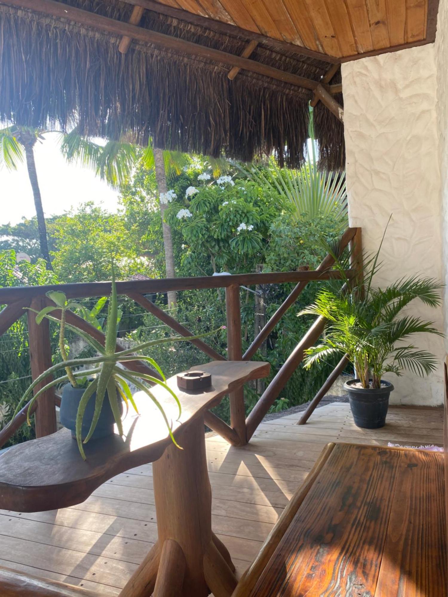 Casa Palmeira Guest house