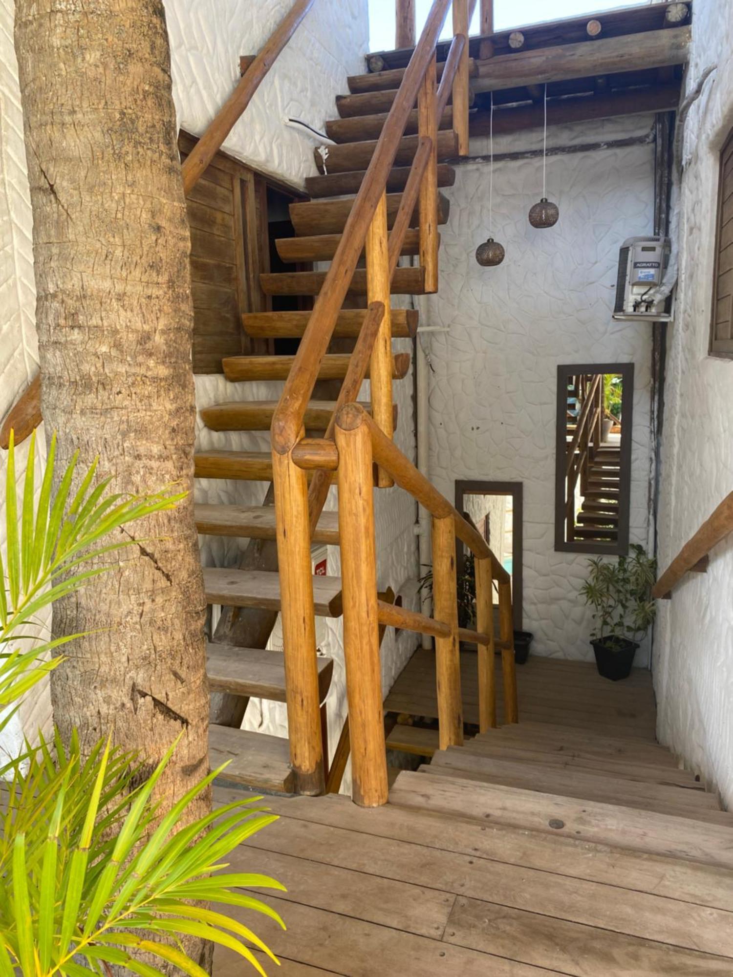 Guest house Casa Palmeira *